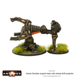 Isorian Senatex support team with phase-shift projector